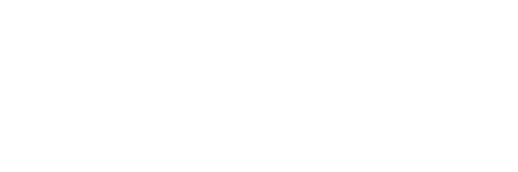 LOGO LIGHT - DEWI SRI VILLA